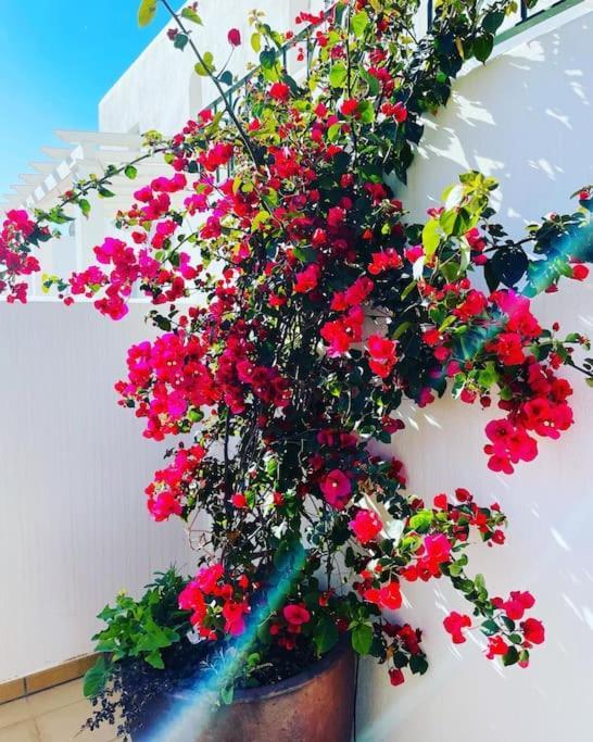 מוחקאר Couples Only, Beautiful 1 Bedroom Apartment In Victoria Building מראה חיצוני תמונה